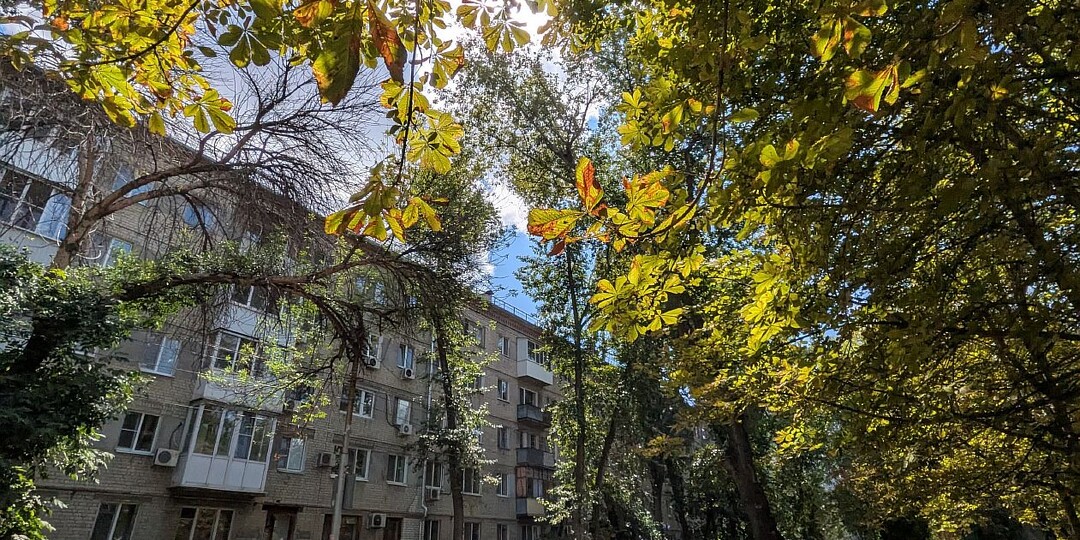 Учащенное дыхание лета
