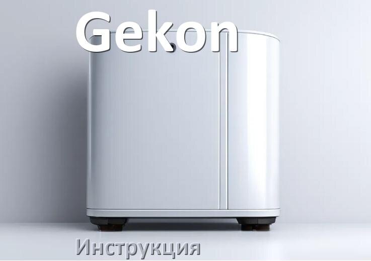 
Инструкция по эксплуатации водонагревателя Gekon и официальное руководство пользователя на русском
