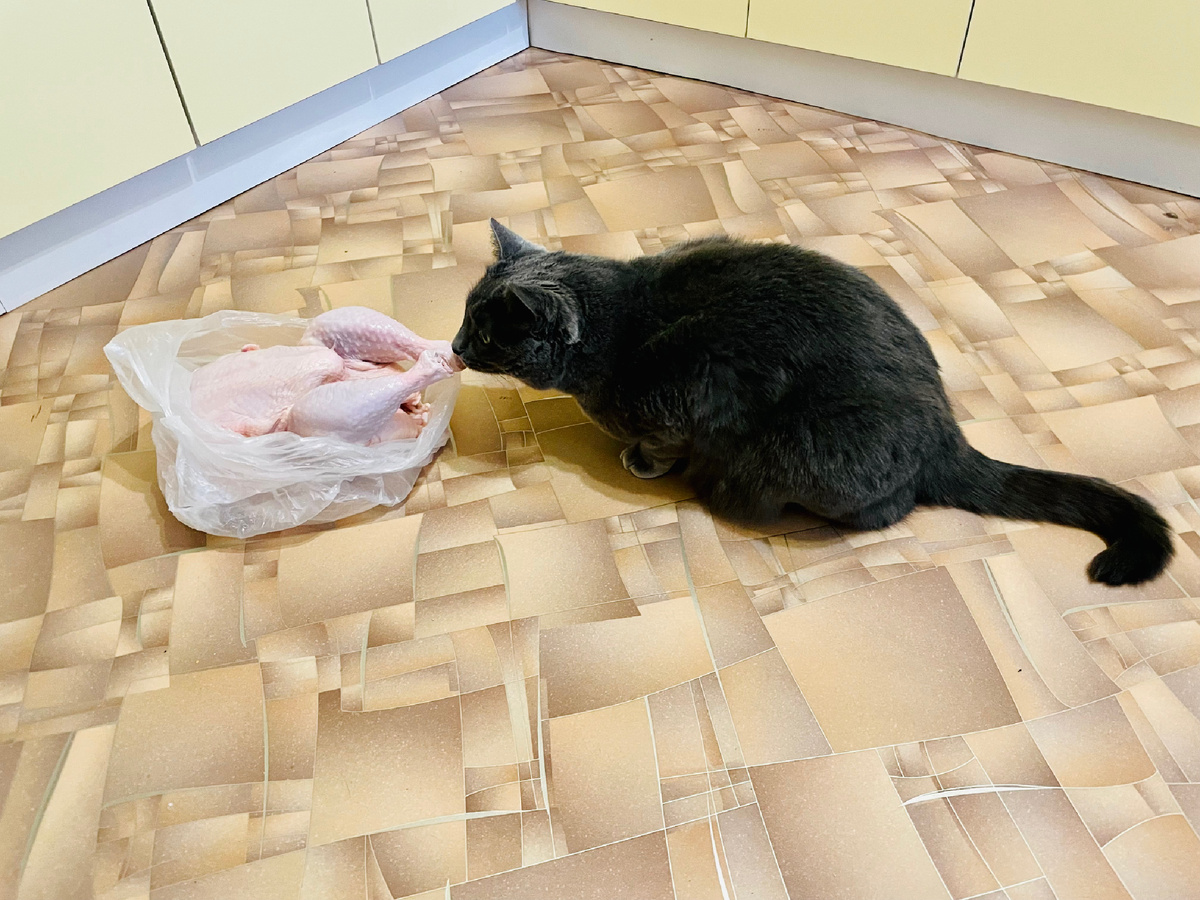 -2