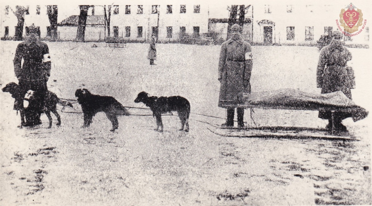 Лыжно-носилочные установки. 1939-1940 гг. Из коллекции Военно-медицинского музея