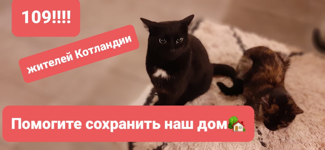 Аренда. Помогите сохранить наш дом 🏡