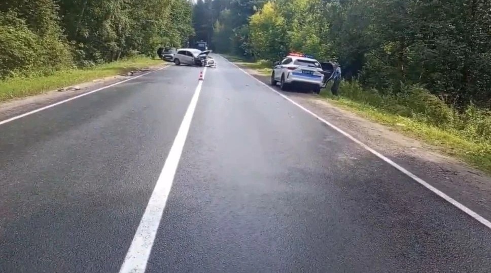Водитель «Мицубиси» потерял сознание и влетел в «Ладу» в Городецком округе