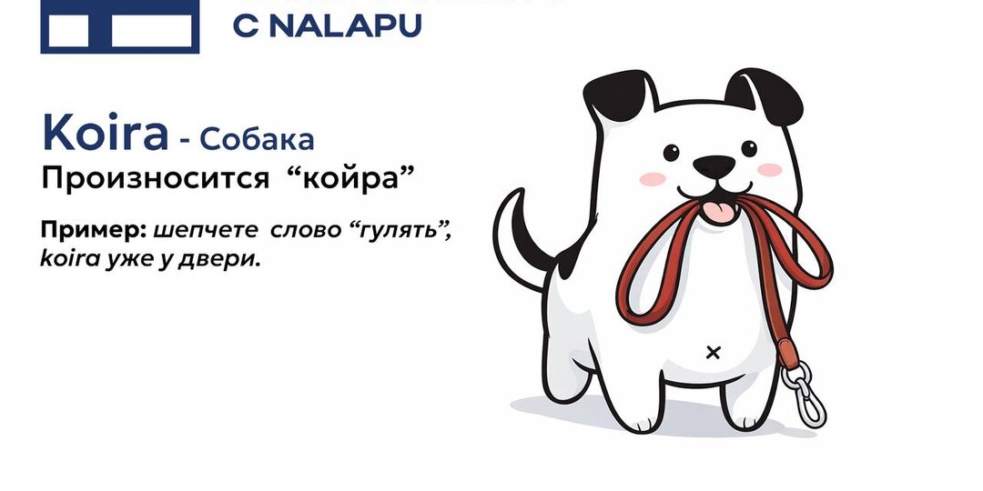 Уроки финского с NALAPU. Пять слов, которые пригодятся каждому питомцу.