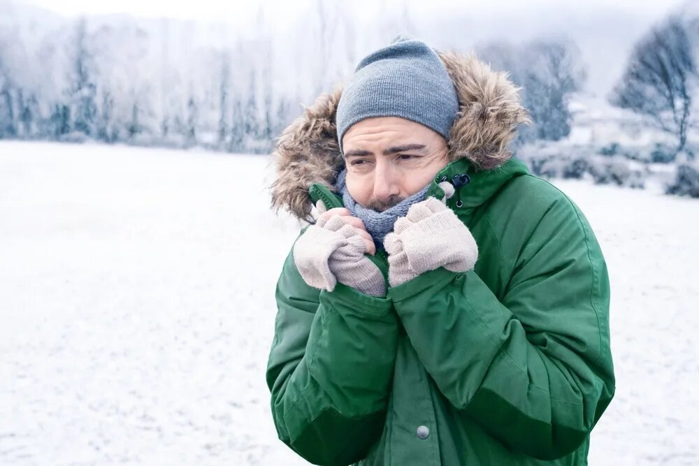 Источник: https://avatars.mds.yandex.net/i?id=c78bb6d3b00e8ecc05a0e1f94a50a3d6_l-10703717-images-thumbs&n=13