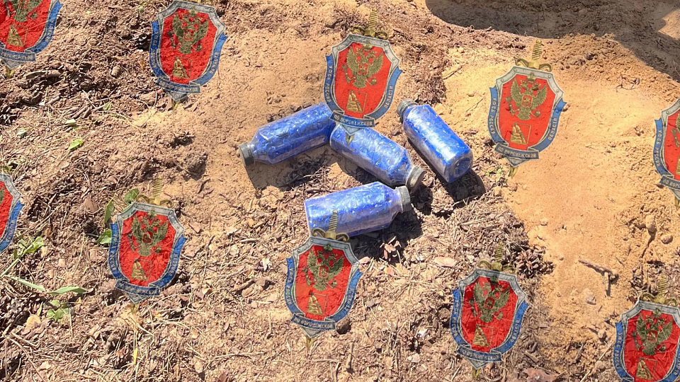 В Павловском районе задержали двух мигрантов с 2,4 тысячи свёртков метадона