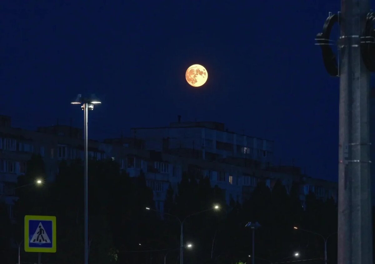     Фото: архив TV Губернии