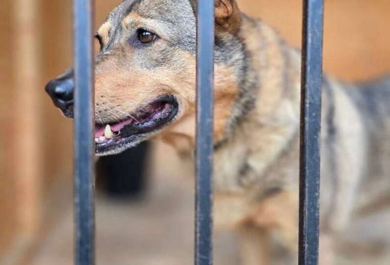 День начнем с милой Геры 🩷