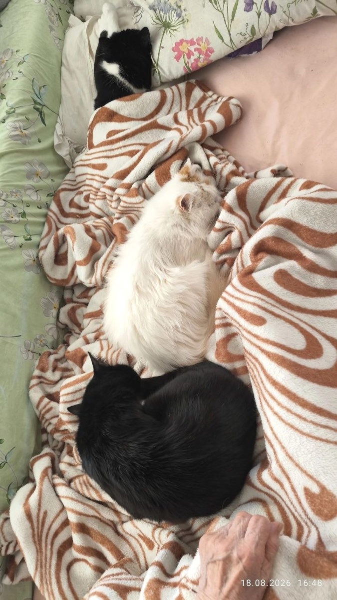-2