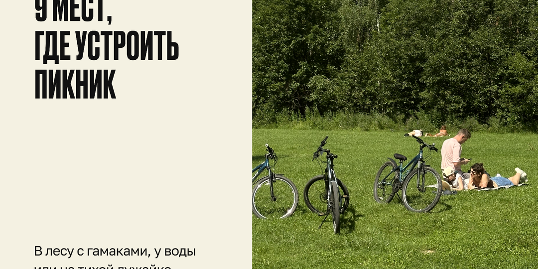 Где устроить лучший пикник в Москве