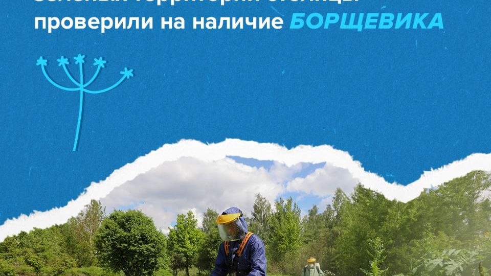 ✅ Практику постоянных осмотров территорий для борьбы с борщевиком ввели в Москве