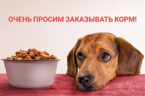 Мы очень просим 🙏❤