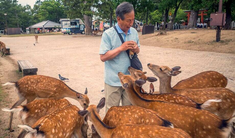 15 фото Японии глазами итальянского фотографа: два лица одной страны