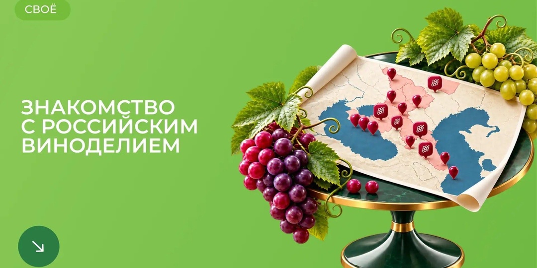 От винной полки до виноградника с медиа-платформой «Своё Вино»: как Россельхозбанк развивает культуру российского виноделия