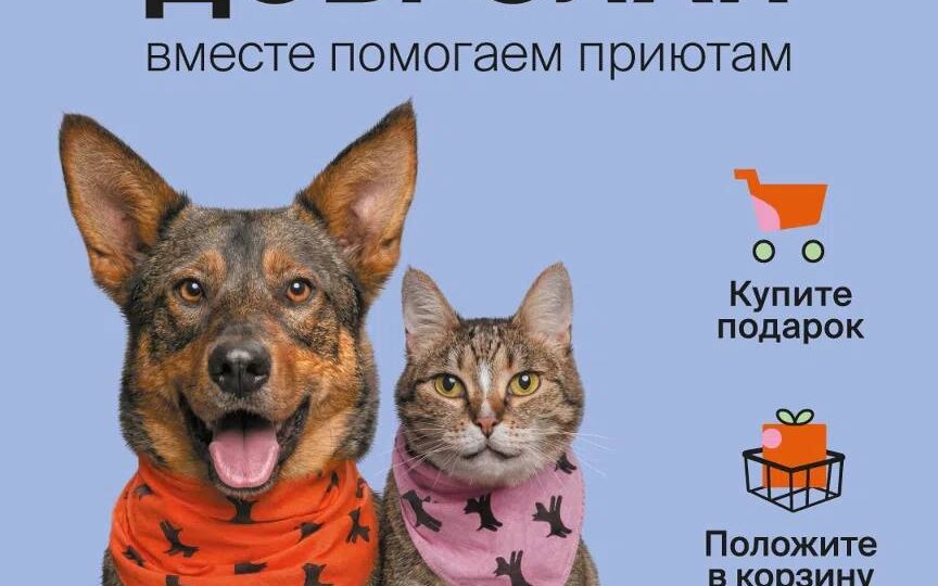 Благотворительная акция "Добролап"