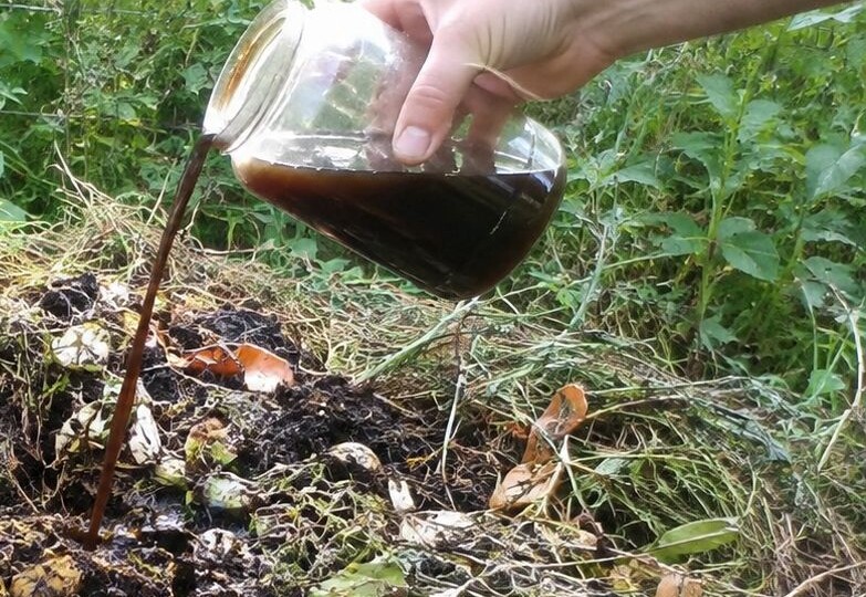 Секреты компостирования в августе и сентябре: как получить идеальный перегной к весне?