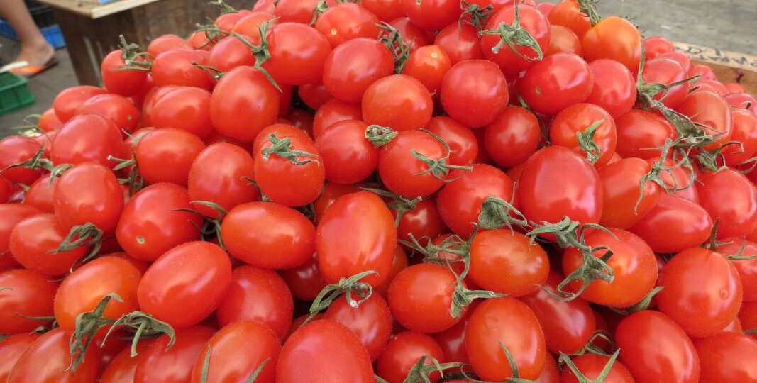 Названы пять вкусных и простых заготовок из помидоров на зиму