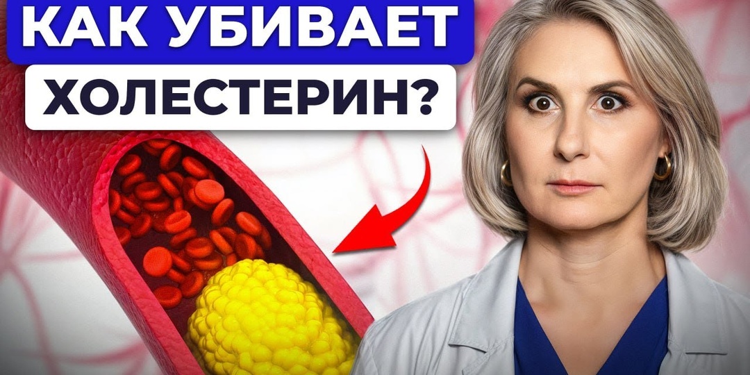 Холестерин. Друг или враг?