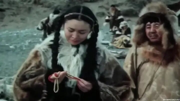 "Куда ты пойдешь, глупая нерпа?" :) 