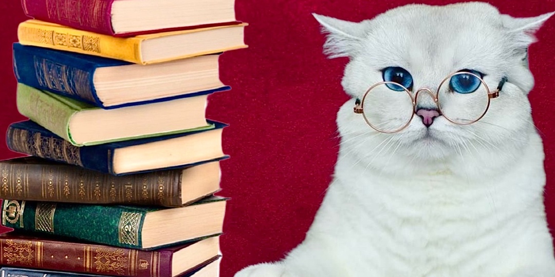 Интересный тест по ЛИТЕРАТУРЕ: Вспомните кто написал эти 10 книг?
