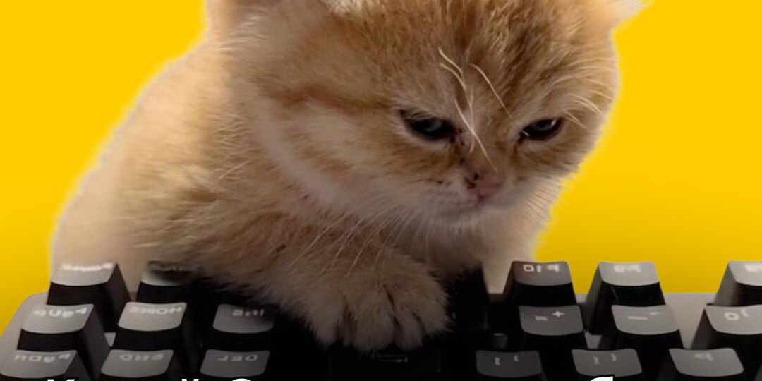 Как Excel сам собирает отчёт из пяти файлов