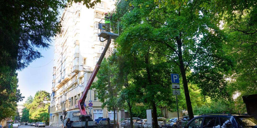 В Сочи продолжается обработка муниципальных территорий от инвазивных вредителей зеленых насаждений