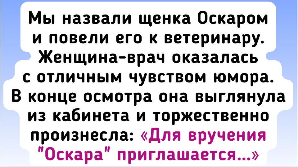 8 человек, для которых питомец давно стал членом семьи