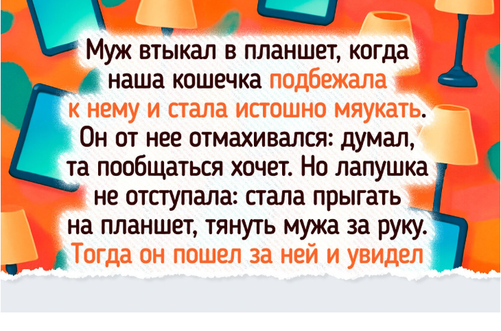 9 питомцев, которые удивили хозяев своей сообразительностью