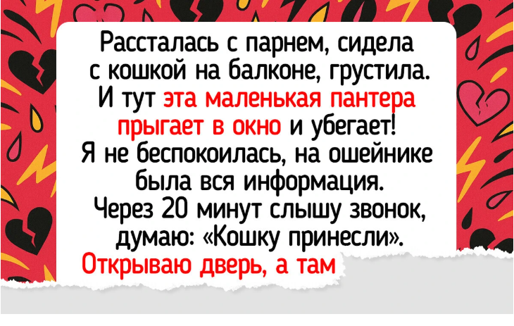 8 питомцев, благодаря которым хозяева встретили свою любовь