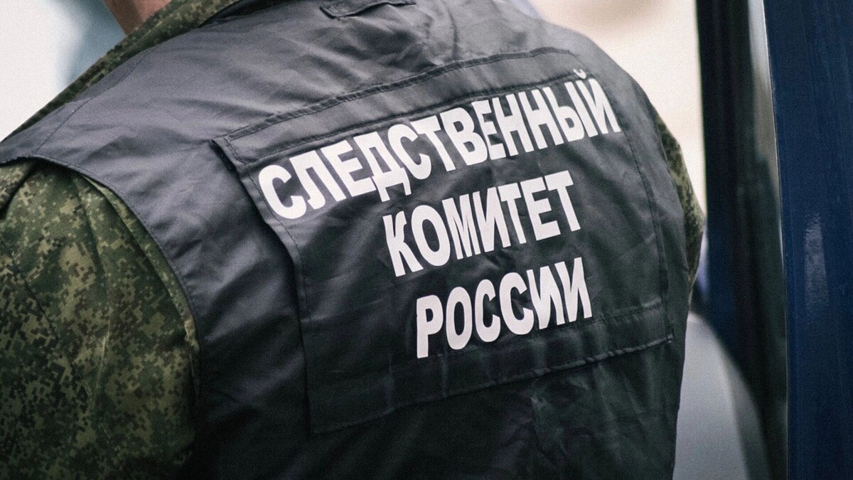    В аппарате детского омбудсмена РТ предложили ввести возрастной ценз для регистрации детей в соцсетях.   inkazan.ru