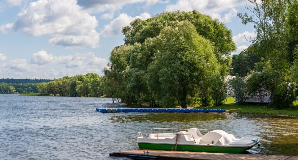    Пляж у Озернинского водохранилища вблизи деревни Нововолково Рузского округа / Медиасток.рф