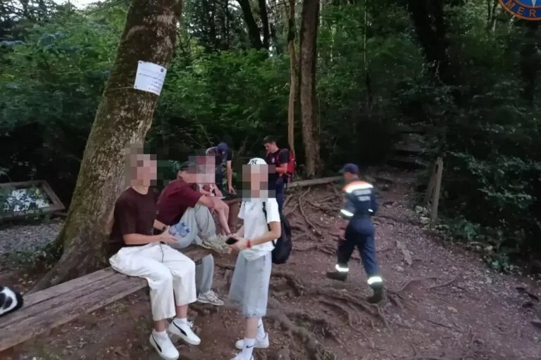 Спасатели в Сочи вывели заблудившихся туристок из Тисо-Самшитовой рощи