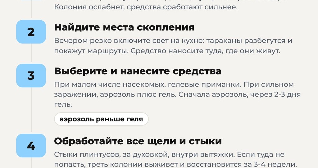 Эффективные средства от тараканов: 5 шагов навсегда