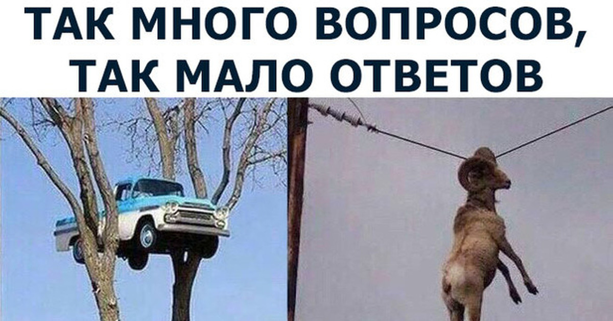 Из бесплатных источников.