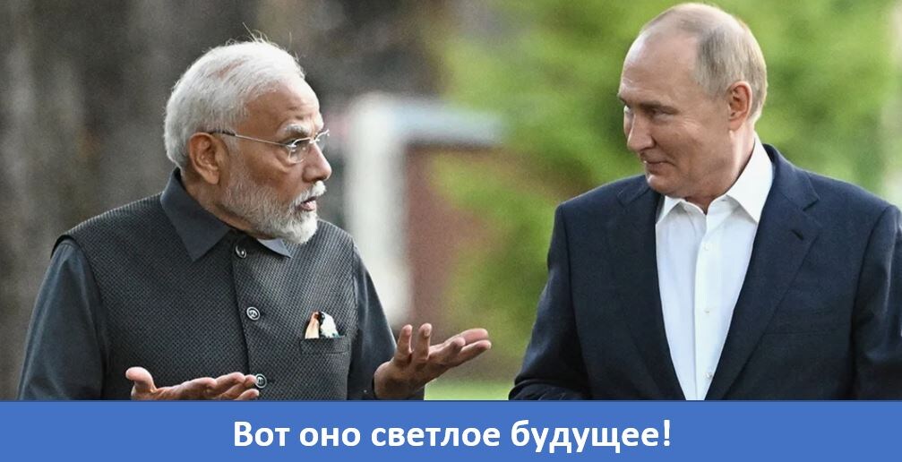 https://avatars.dzeninfra.ru/get-zen_doc/271828/pub_6a89278c3e3923245af5eb85_6a892838b0a54f1852febdee/scale_1200
