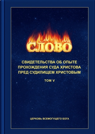 из книги «Свидетельства об опыте перед судилищем Христовым (TOM V )»