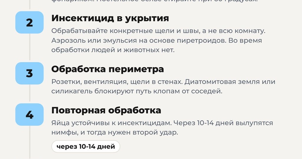 Как бороться с клопами в квартире: 5 шагов, которые реально работают