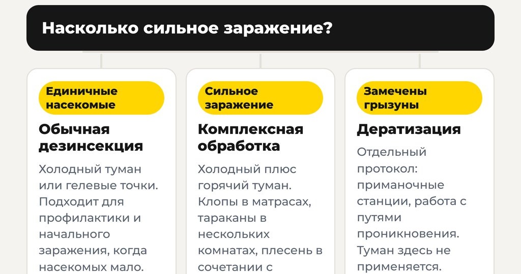 Единая служба дезинфекции: 5 критериев, по которым выбирают правильно