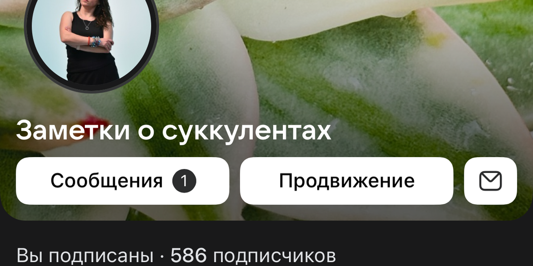 Дзен больше не место для общения. Переходим в VK 🌵💬