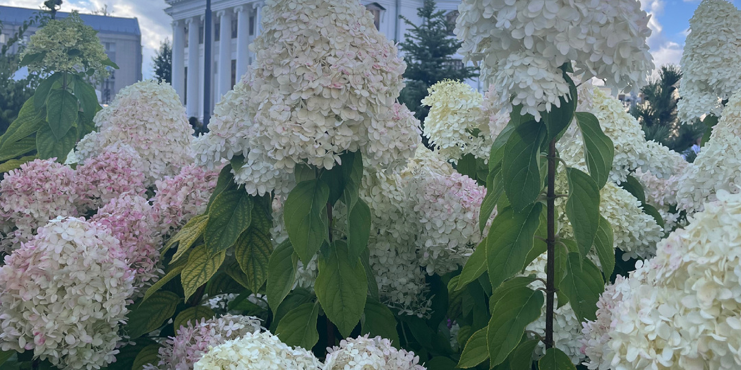 Как мы прикоснулись к мощам Спиридона Тримифунтского🙏