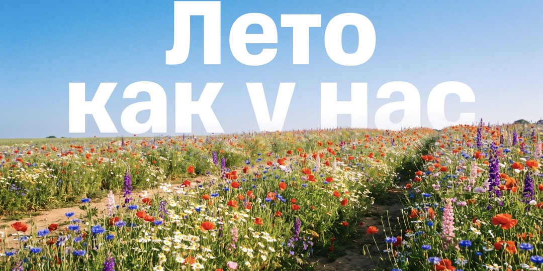 «Лето как у нас». Думала, что лучшее лето ждёт нас на МОРЕ, а оно оказалось совсем в другом месте