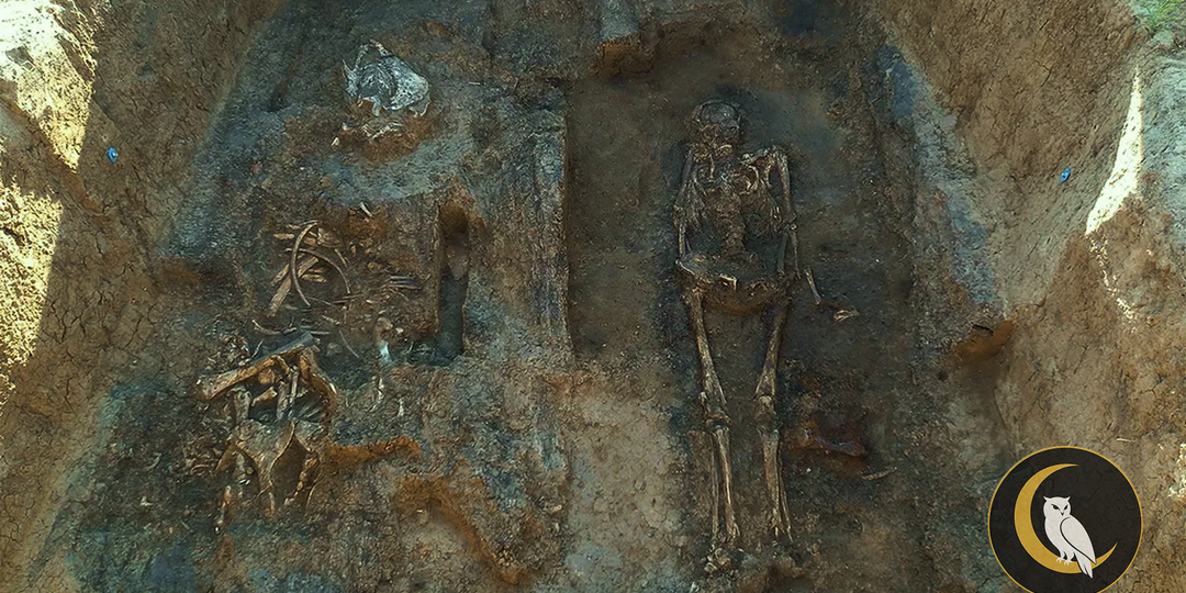 Под Суздалем нашли гробницу X века. И она меняет историю Древней Руси