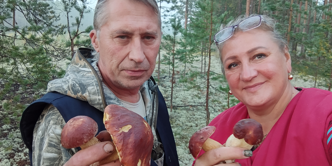 За грибами на север. Красновишерск.