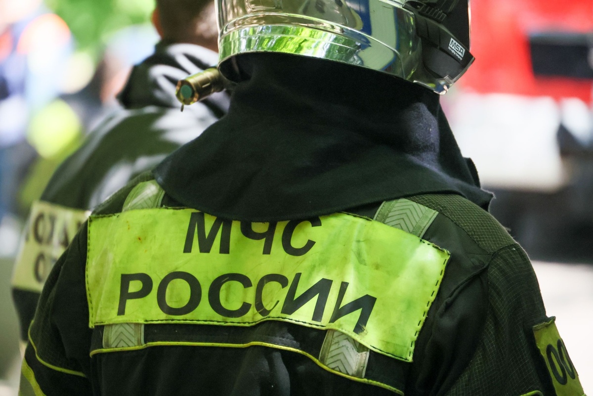    Алексей Белкин/NEWS.ru