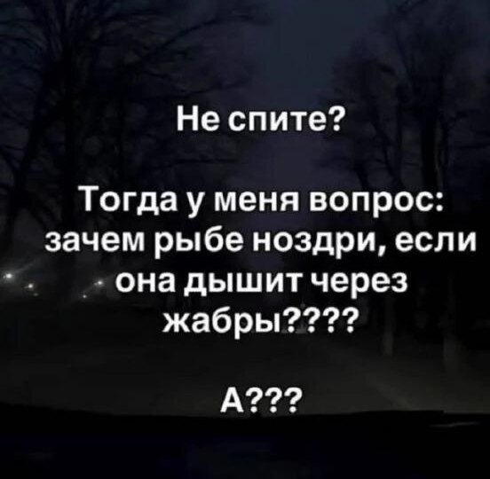 IQ (idiotic question): меньше тратить или больше зарабатывать?