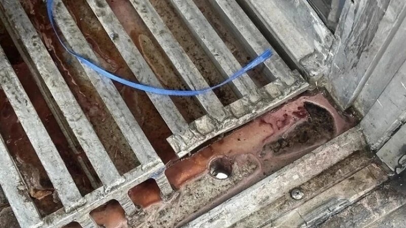     В Барнауле уничтожили более трех тонн кальмаров алтайский Россельхознадзор