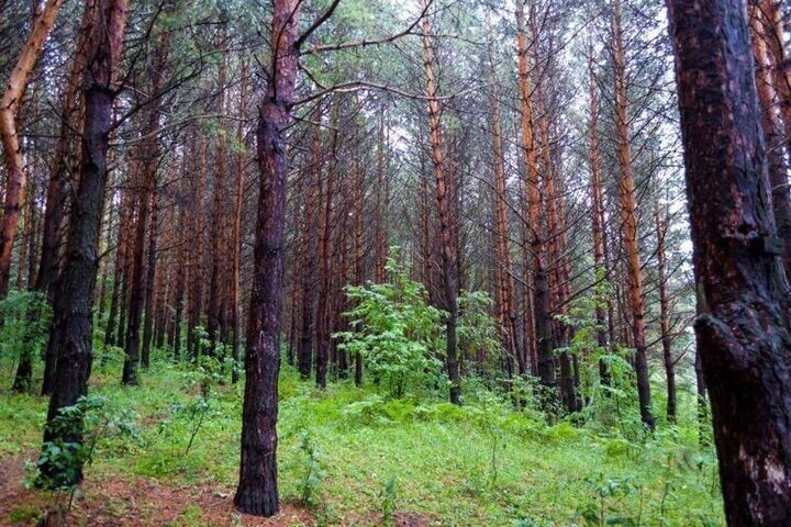     Фото: личный архив
