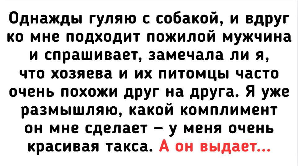 6 историй, в которых питомцы снова оказались в центре событий
