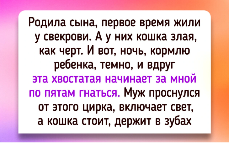 9 случаев, когда питомцы и хозяева не сразу нашли общий язык