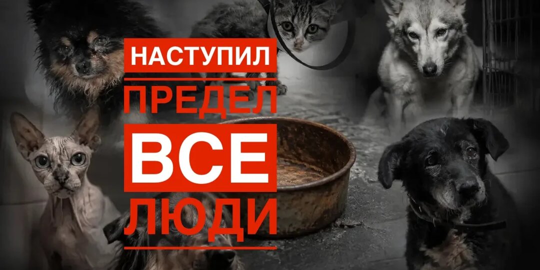 Сборы все хуже, инvалидов все больше, КОРМИТЬ НЕЧЕМ!
