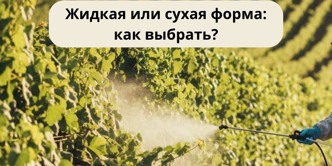 Вопрос, который часто задают перед закупкой: какую форму брать — жидкую или сухую